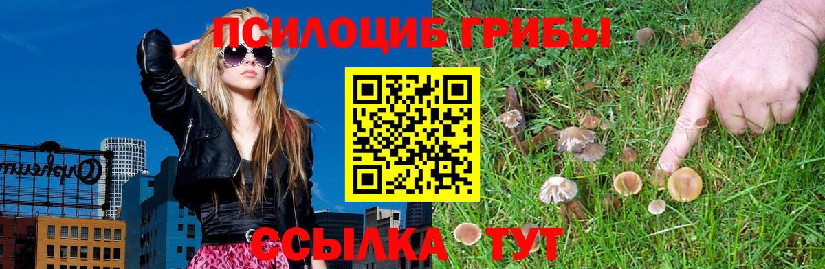 Псилоцибиновые грибы мухоморы Туймазы