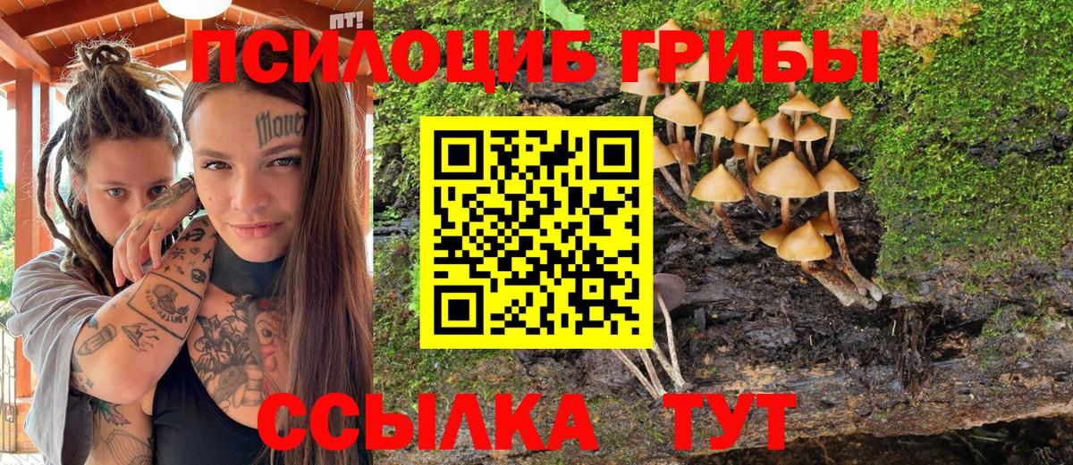 Псилоцибиновые грибы мицелий  Вход с VPN  Туймазы 